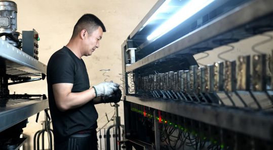 开元温宿县：小微企业拔节生长 筑就乡村振兴新高地(图2)
