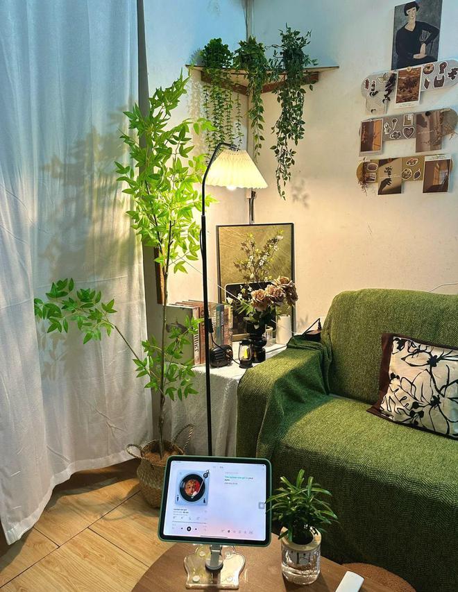 开元体育客厅的绿色艺术：精选绿植营造雅致氛围